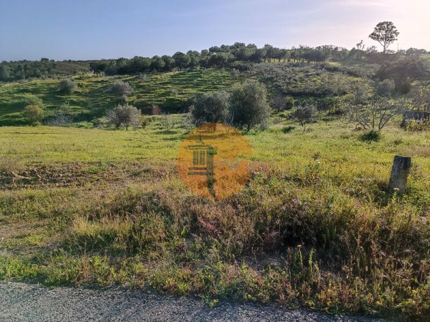  kaufen Grundstück Azinhal Albufeira 8
