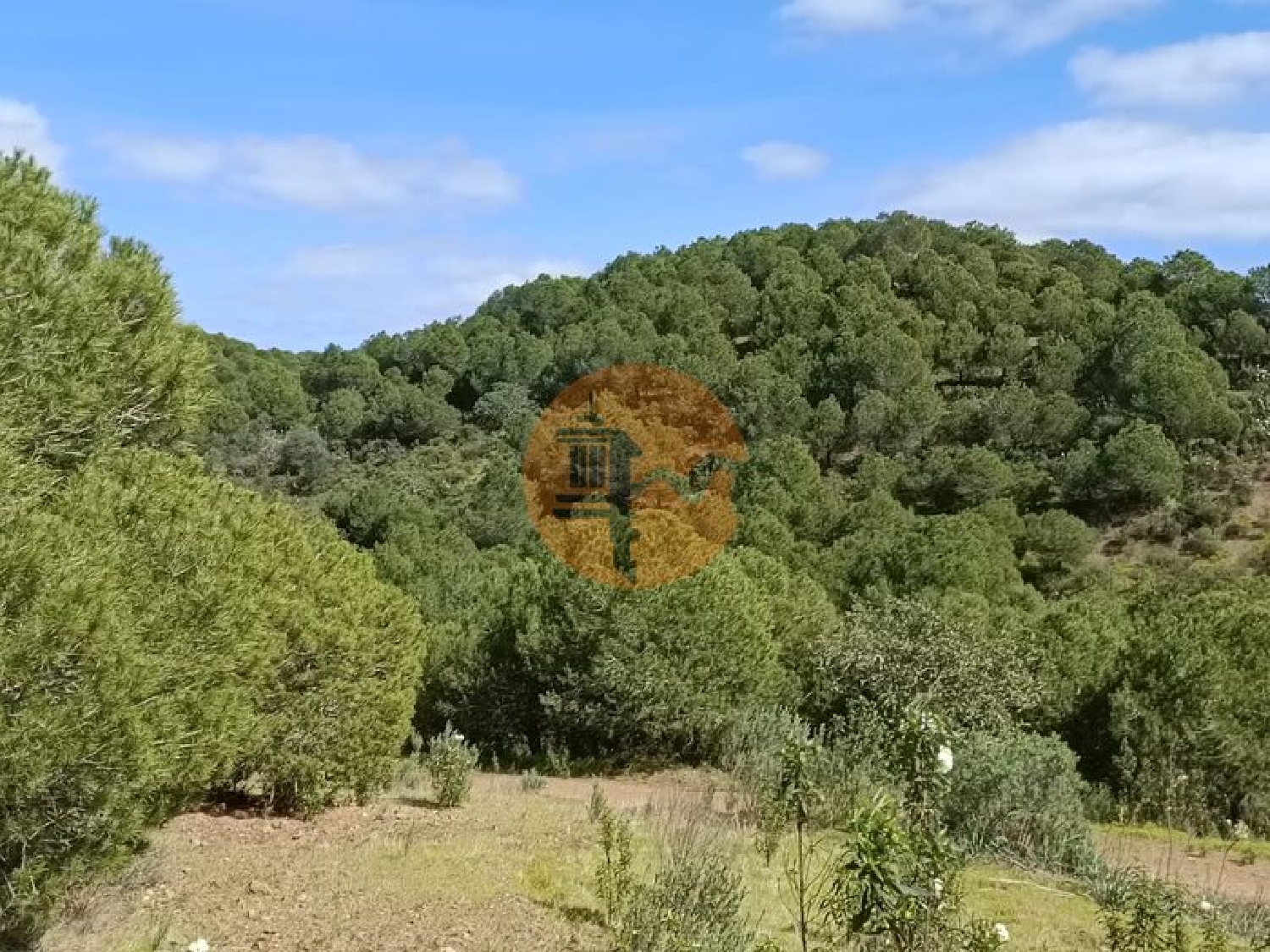  köpa tomt Azinhal Albufeira 1