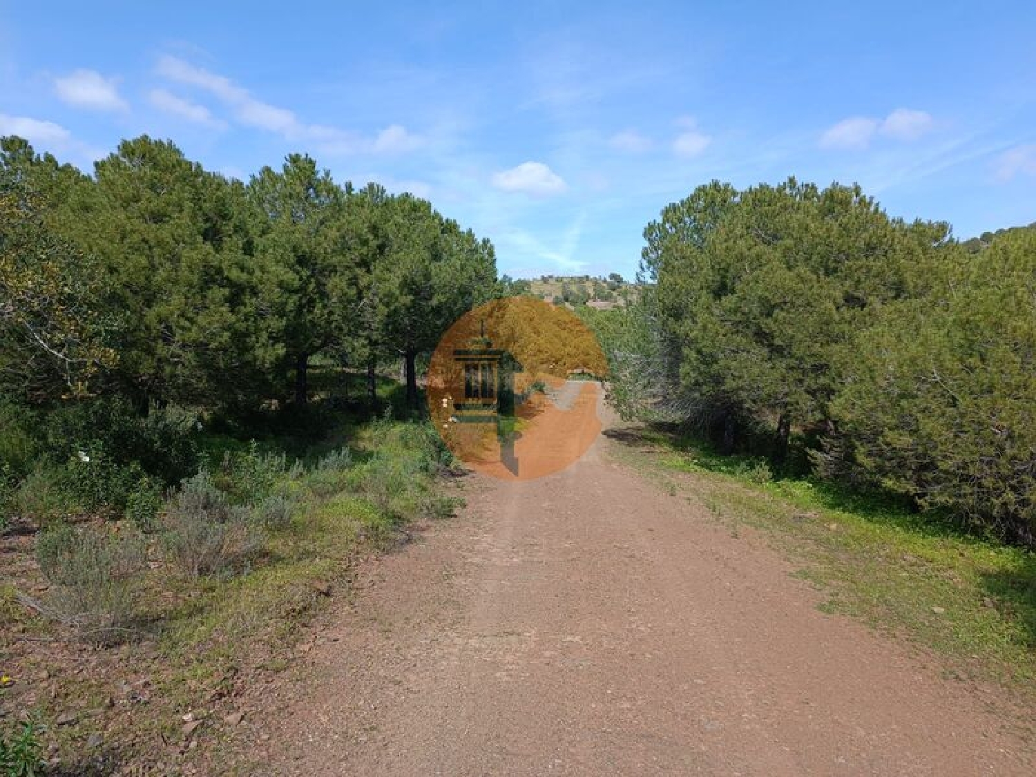  for sale terrain Azinhal Albufeira 3