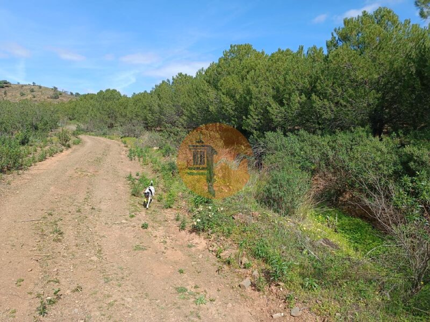  köpa tomt Azinhal Albufeira 5