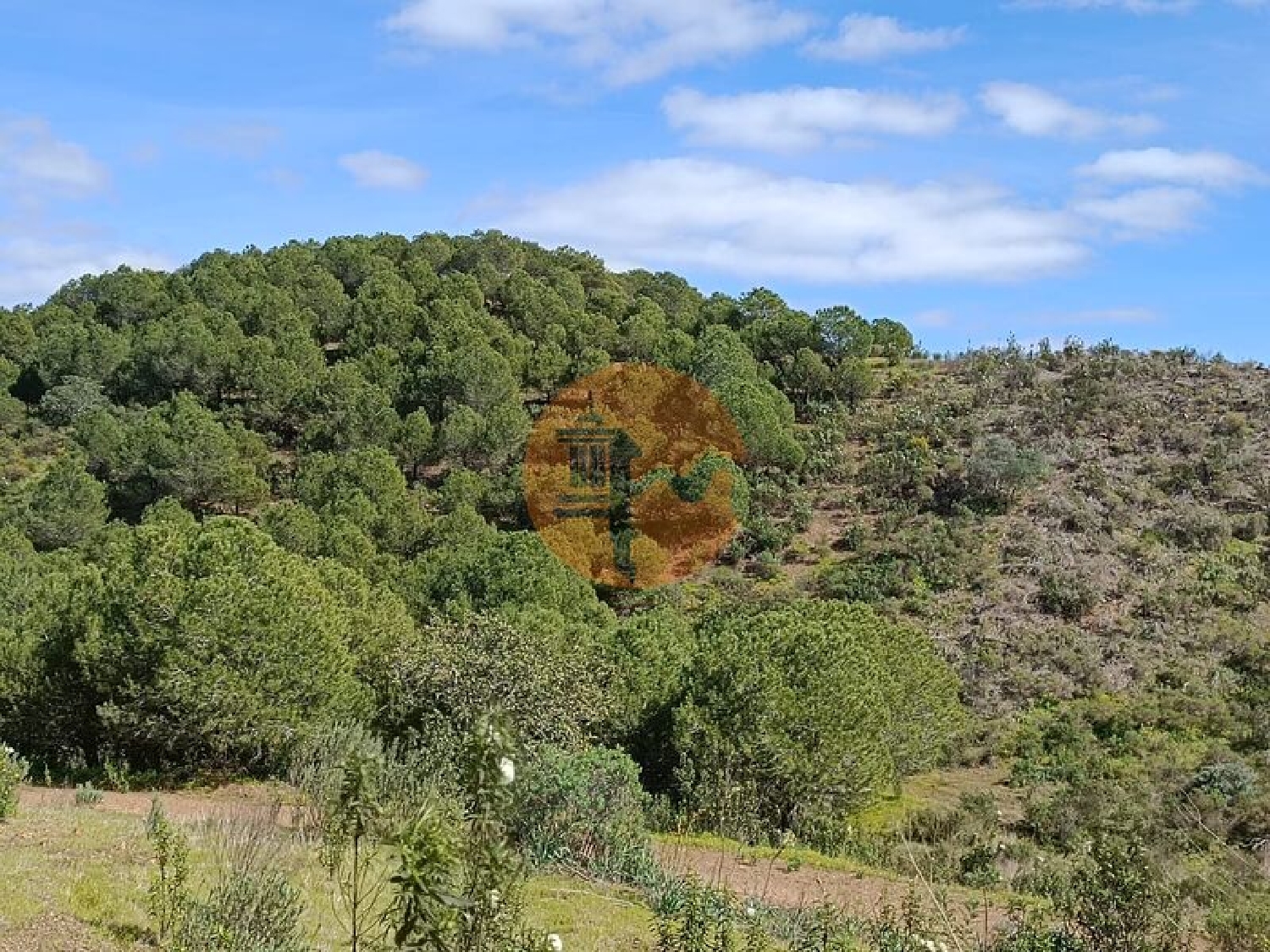 köpa tomt Azinhal Albufeira 7