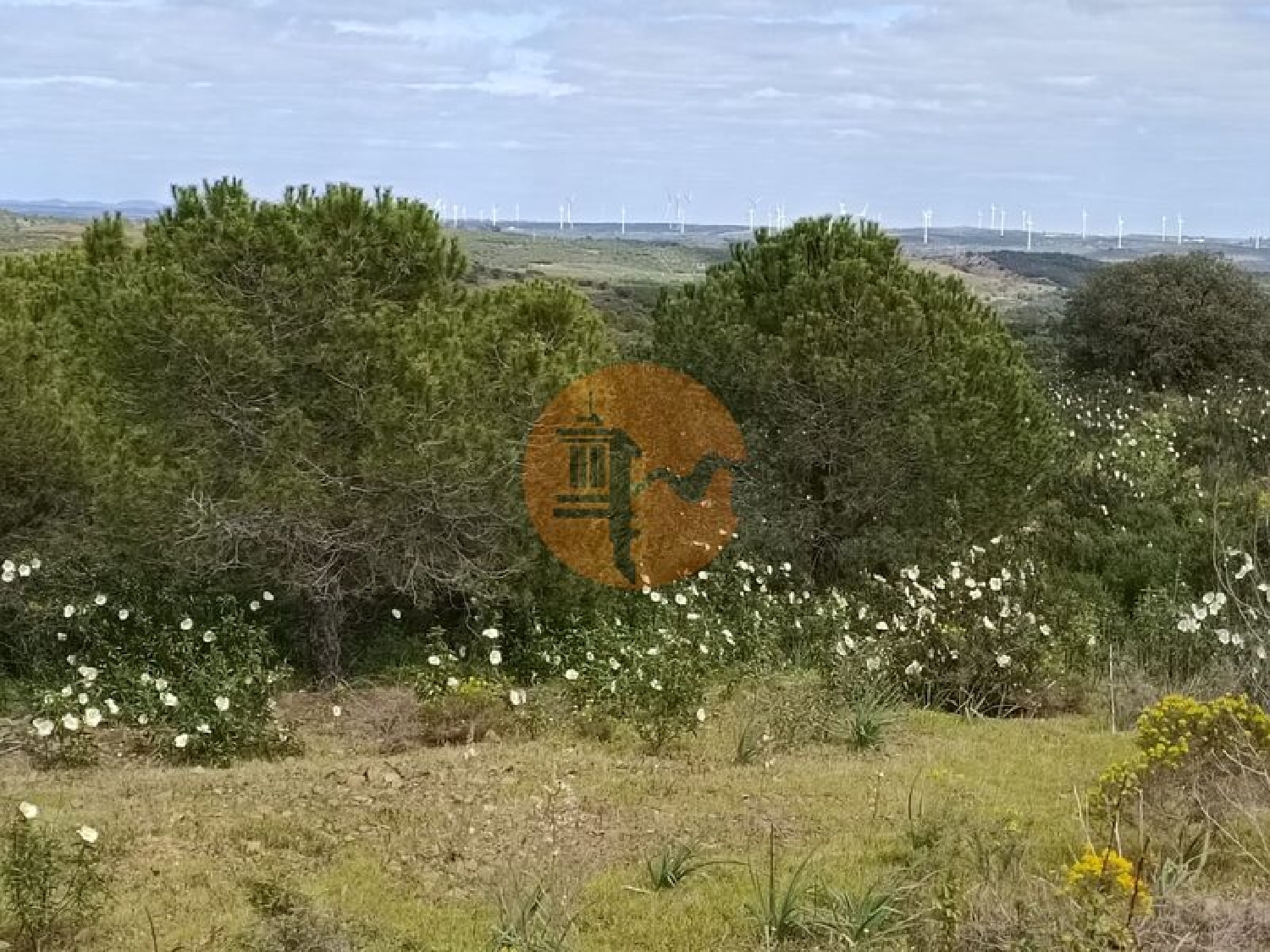  à venda terreno Azinhal Albufeira 1