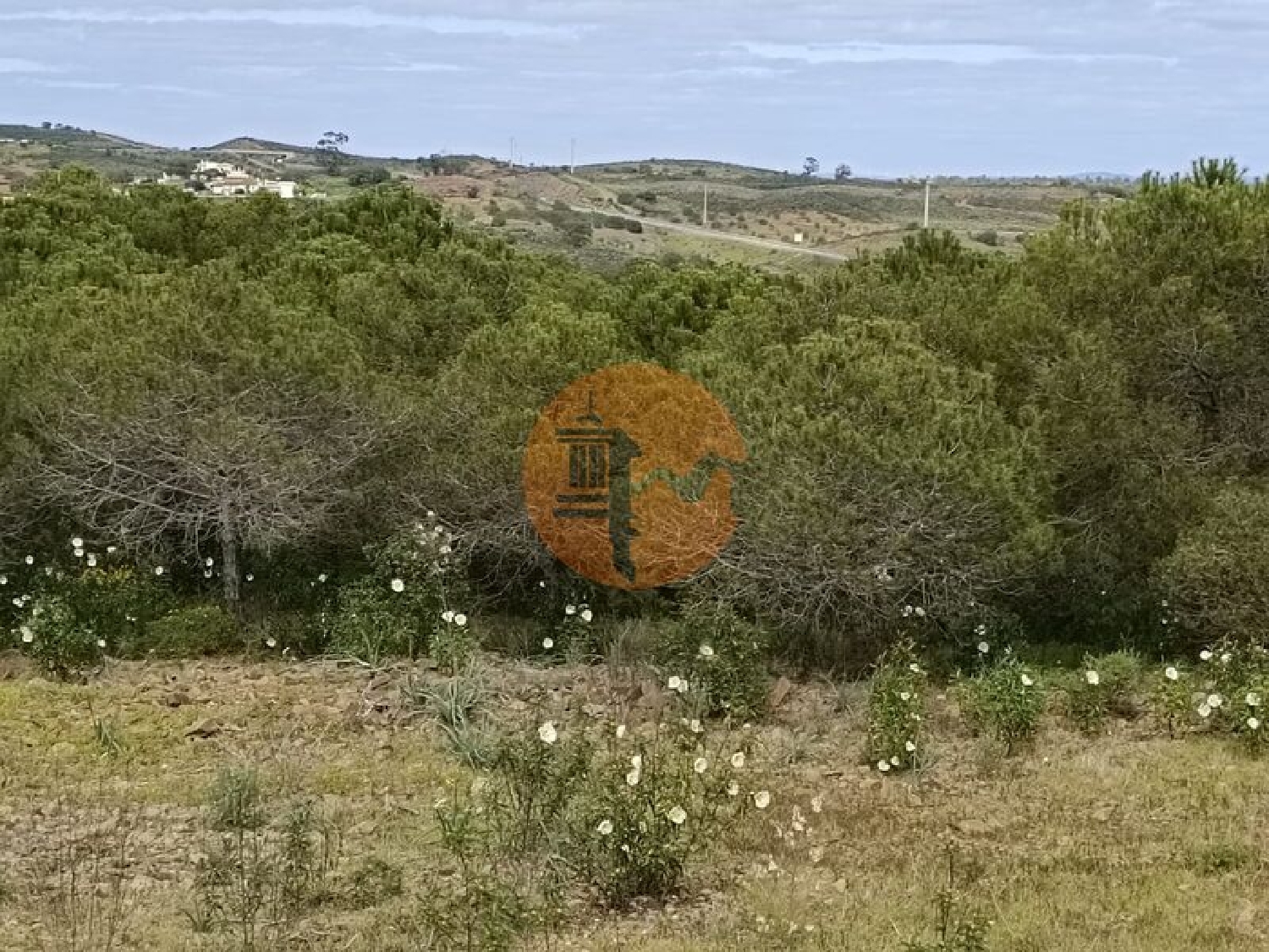  à venda terreno Azinhal Albufeira 3