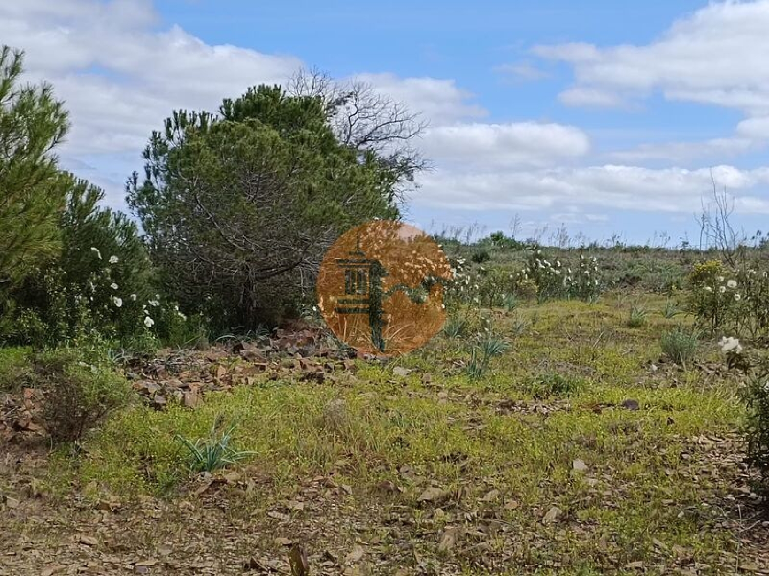  à venda terreno Azinhal Albufeira 5