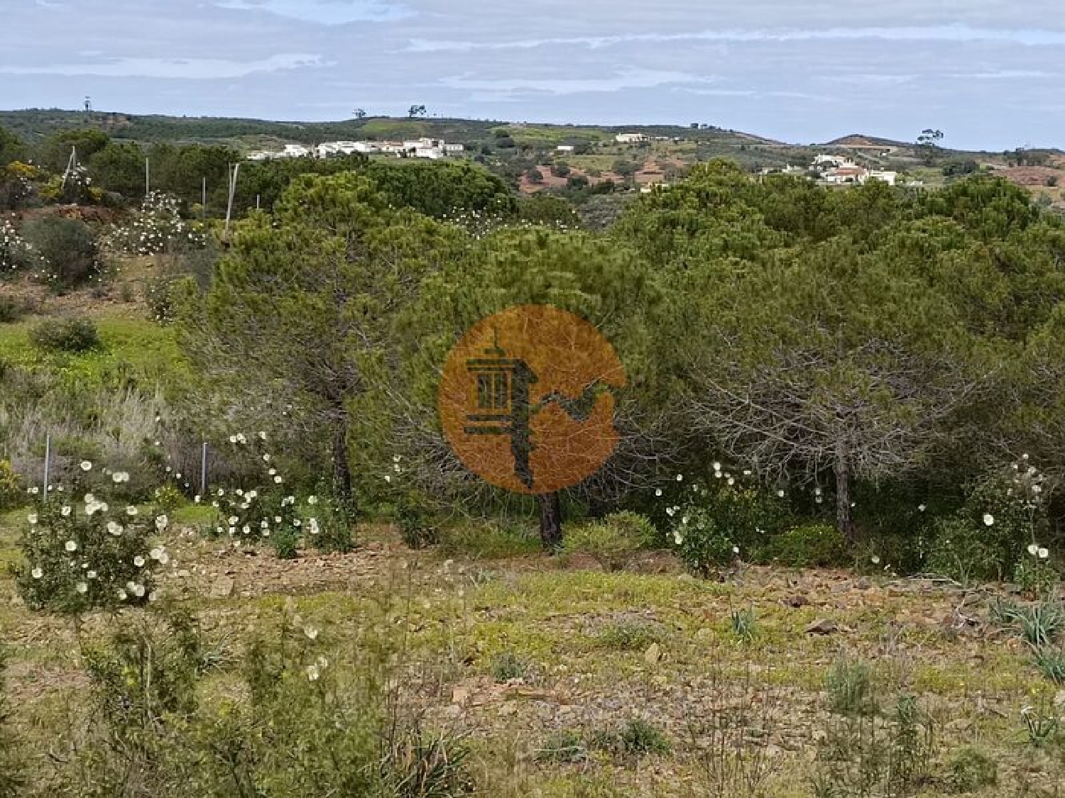  à venda terreno Azinhal Albufeira 6