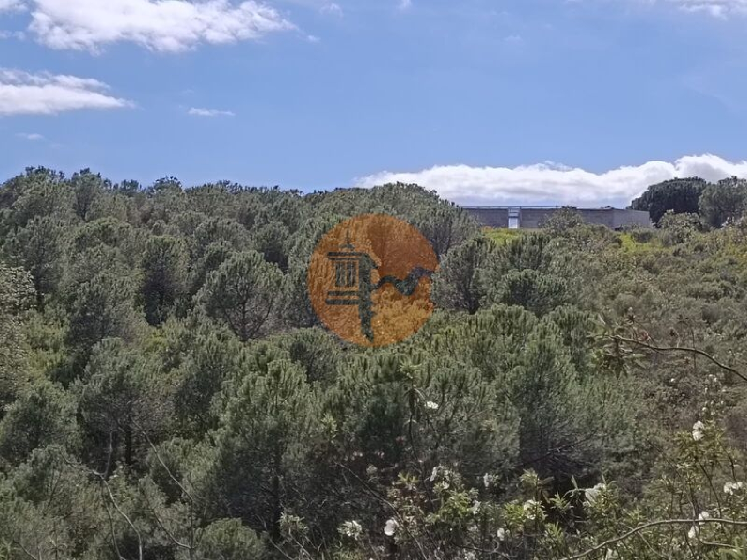  à venda terreno Azinhal Albufeira 8