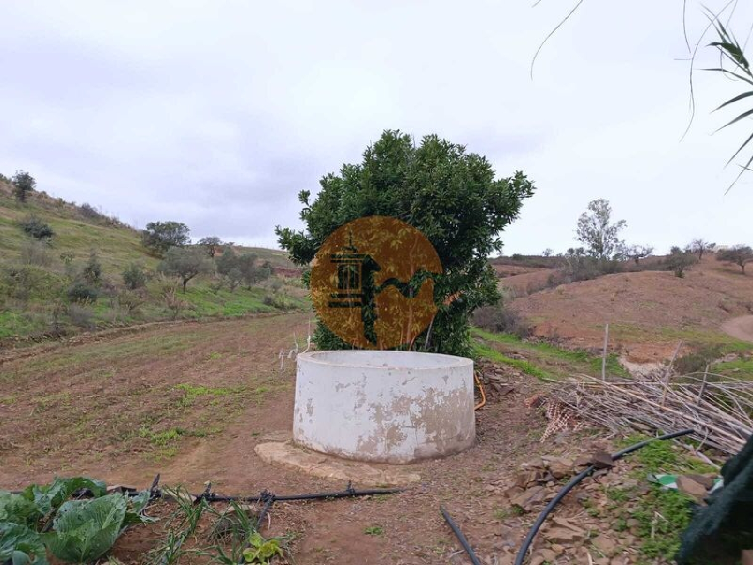  kaufen Grundstück Azinhal Albufeira 5