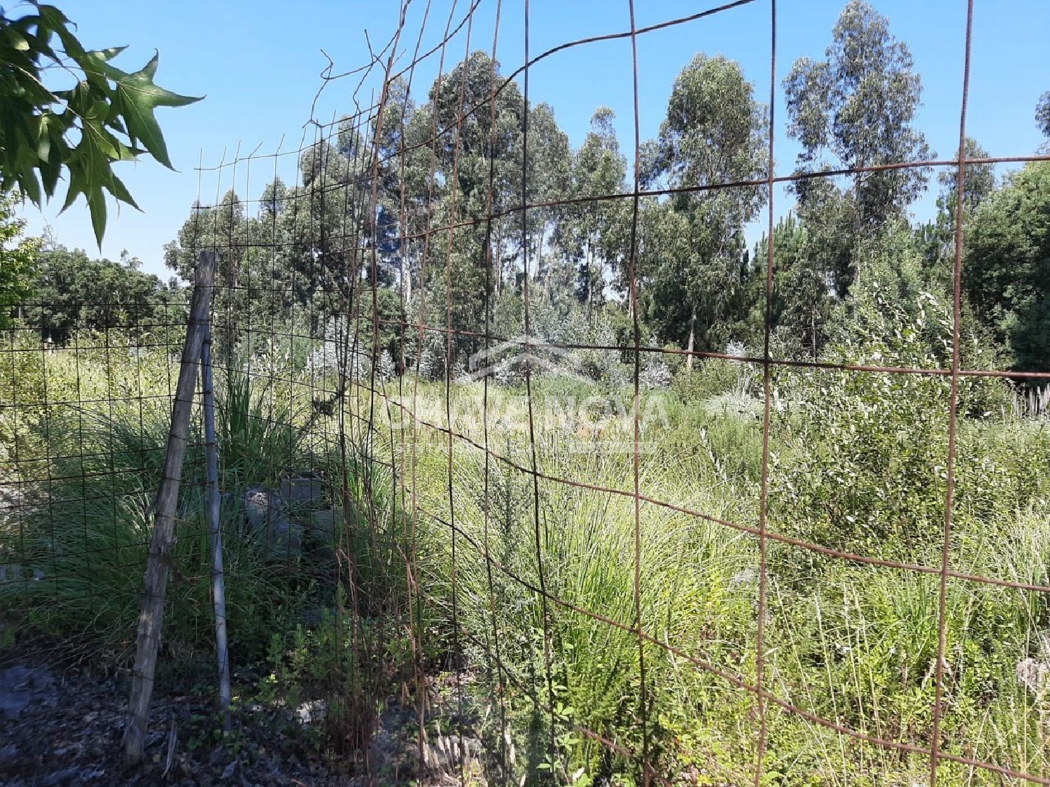  te koop terrein Baguim do Monte Gondomar 2