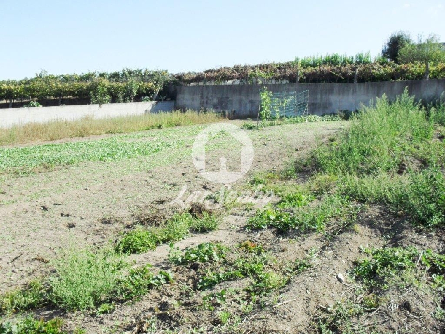 te koop terrein Bagunte Vila Do Conde 3
