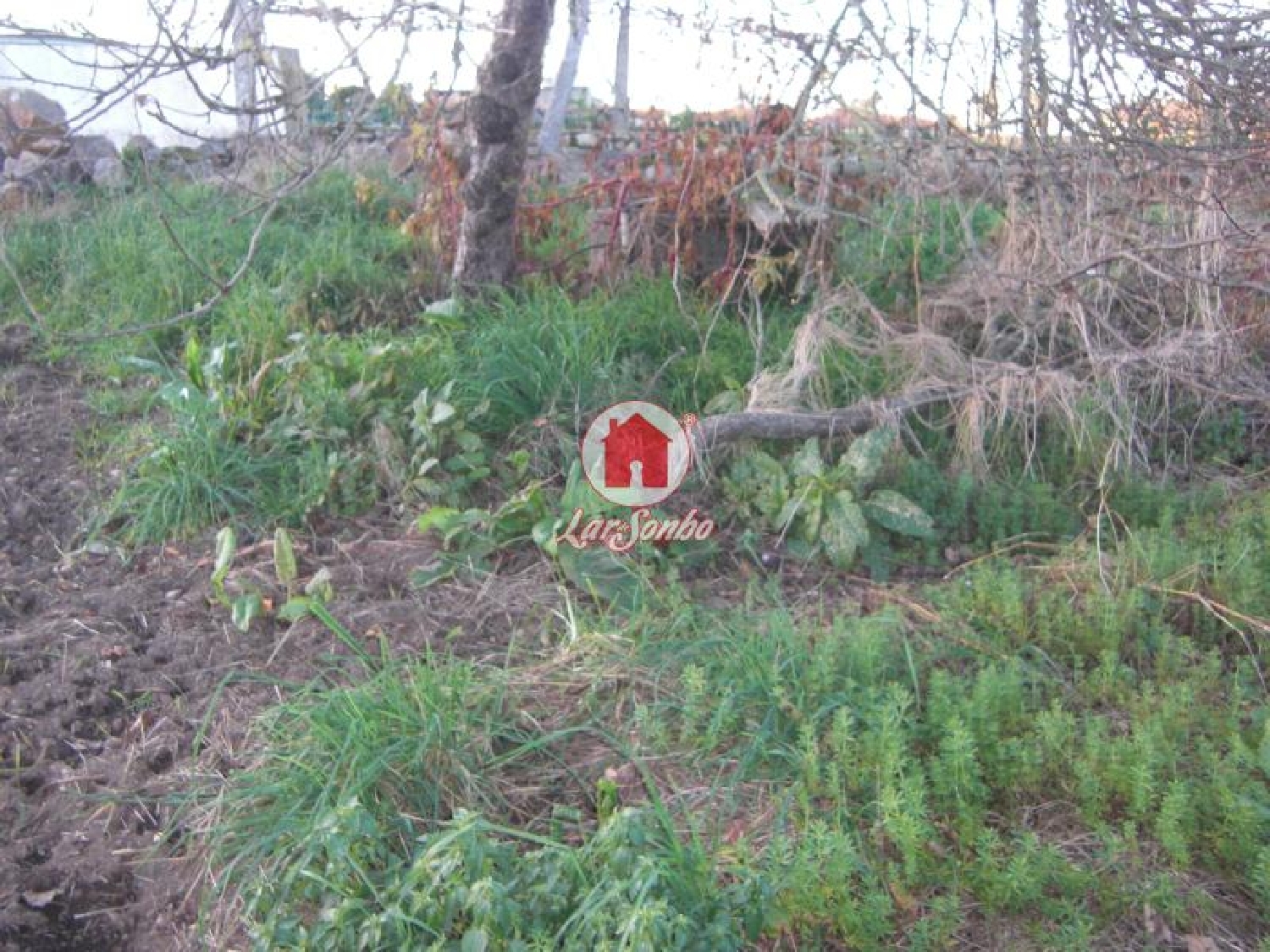  kaufen Grundstück Bagunte Vila Do Conde 1