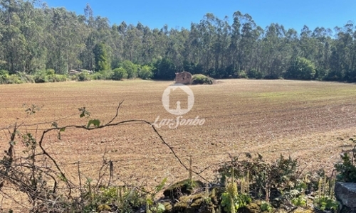 Balazar Póvoa De Varzim terrein foto 321027
