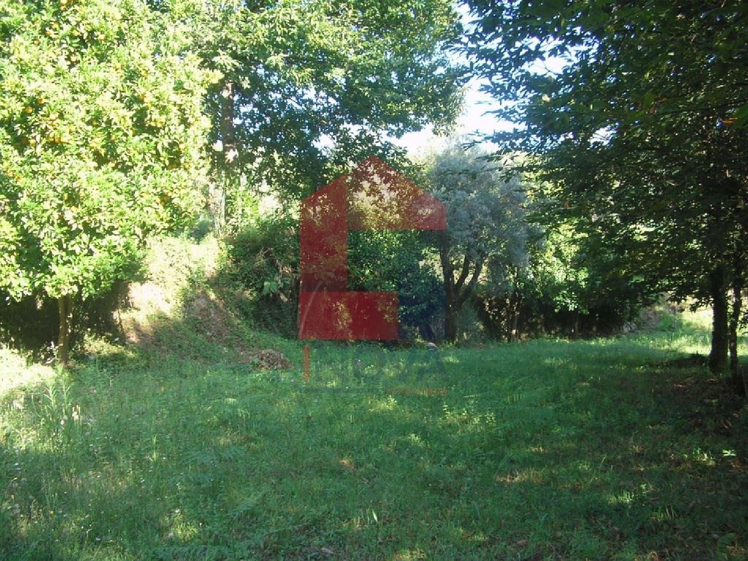 à vendre terrain Baltar Vila Verde 2