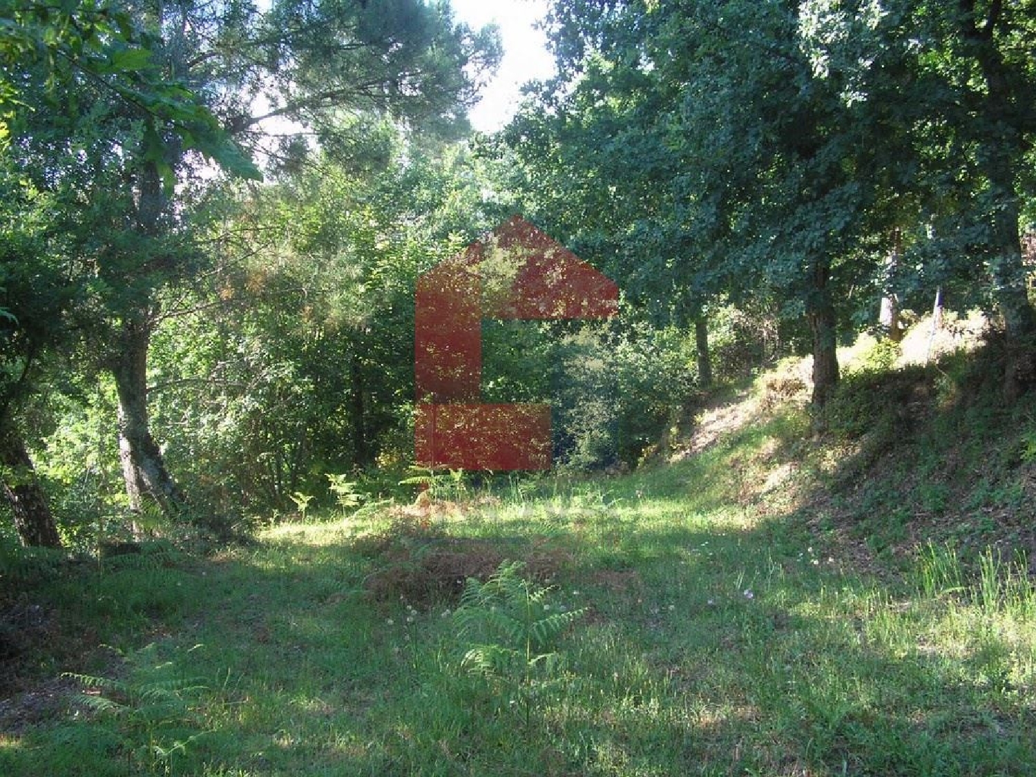 à vendre terrain Baltar Vila Verde 3