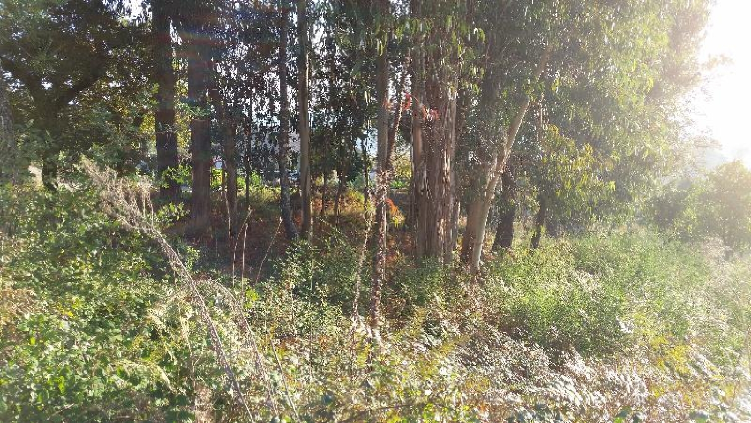  te koop terrein Barbudo Vila Verde 1