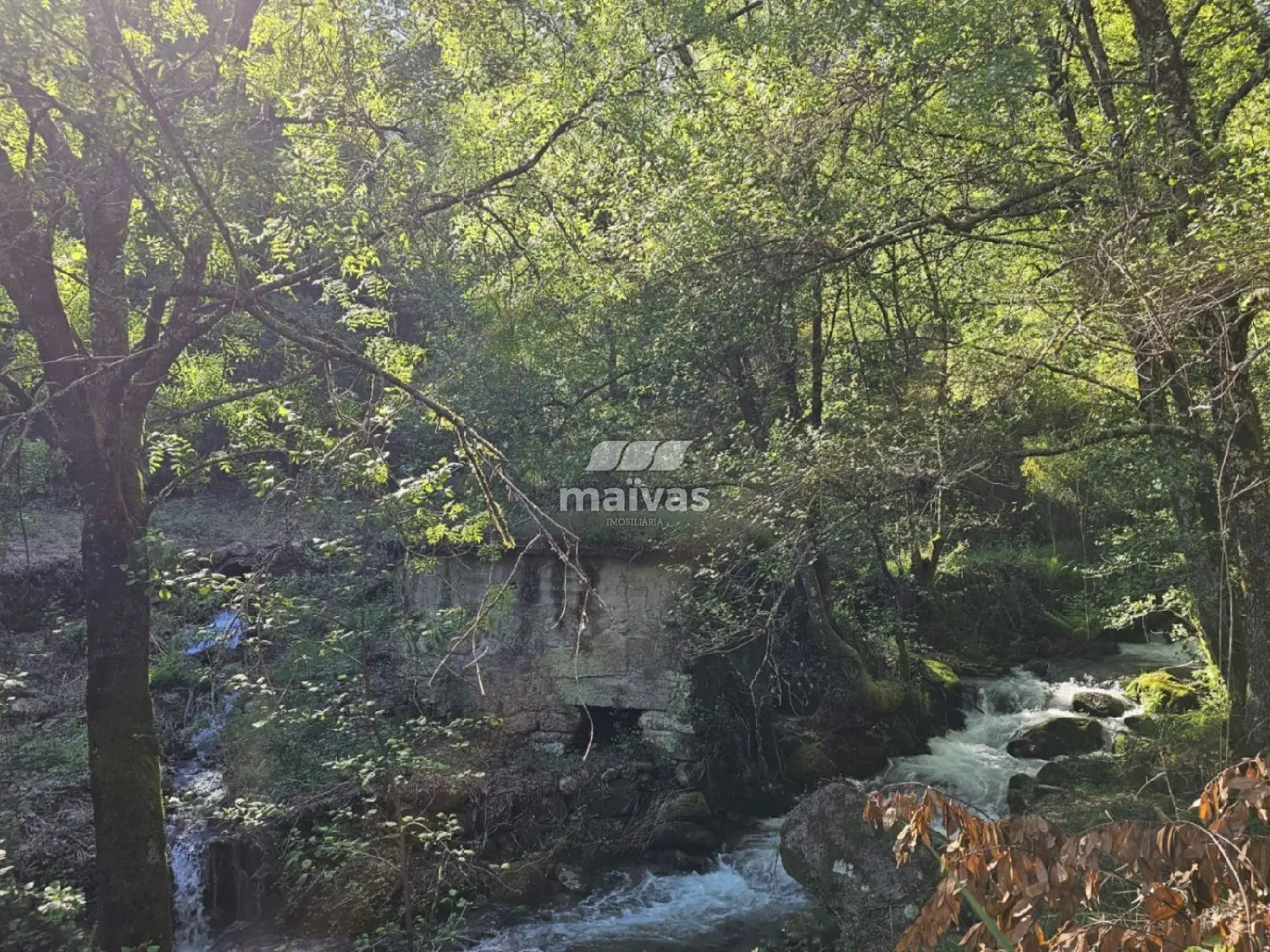  en venta terreno Barbudo Vila Verde 1