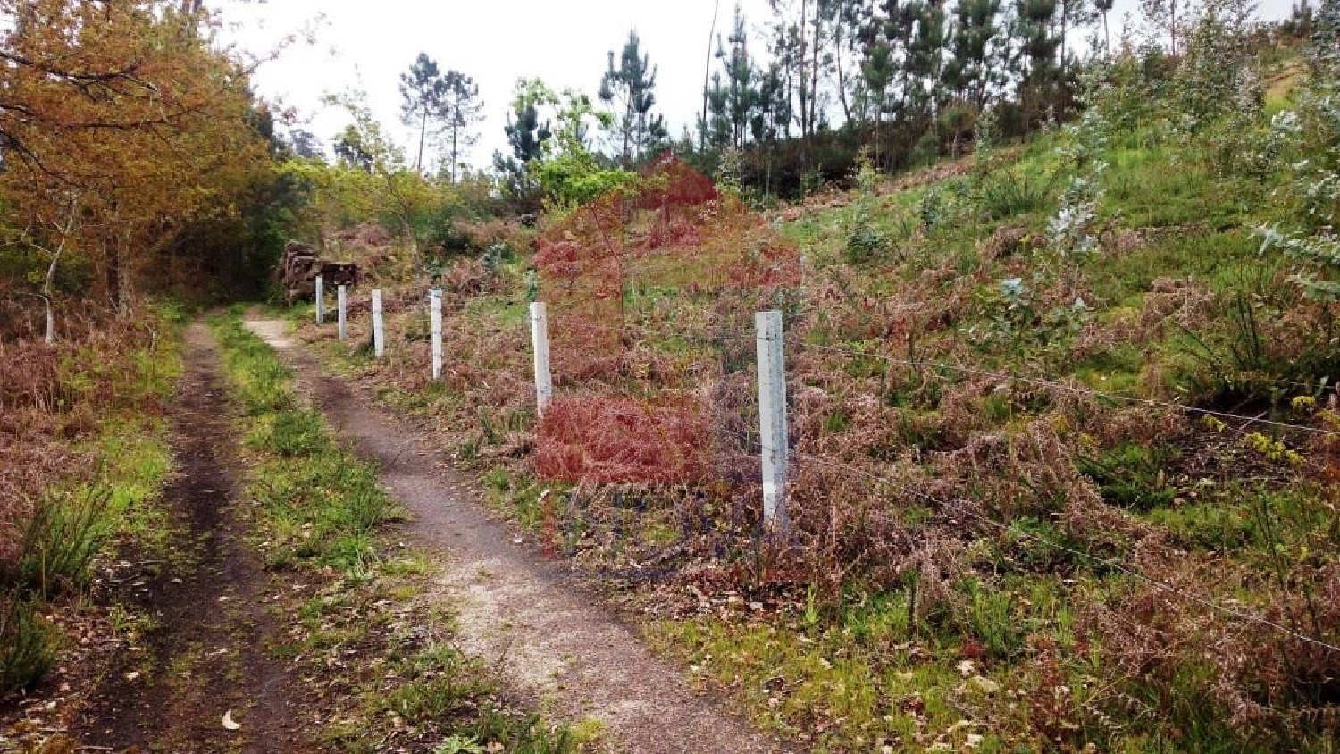  köpa tomt Barbudo Vila Verde 1