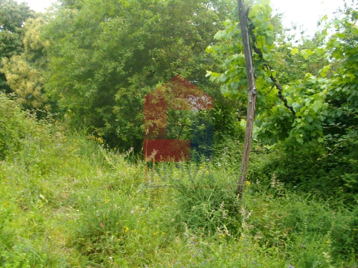 kaufen Grundstück Barbudo Vila Verde 3