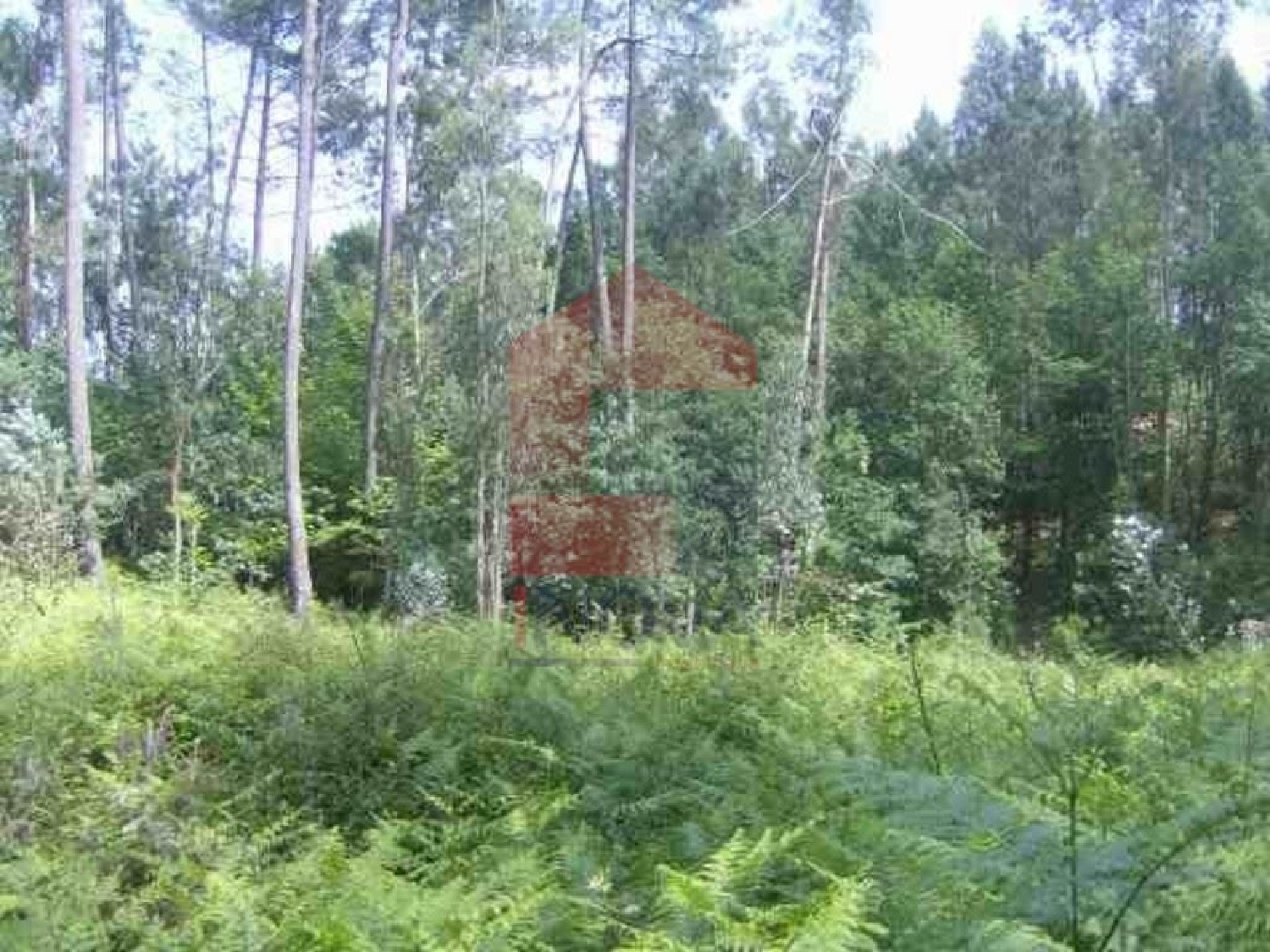  kaufen Grundstück Barbudo Vila Verde 1