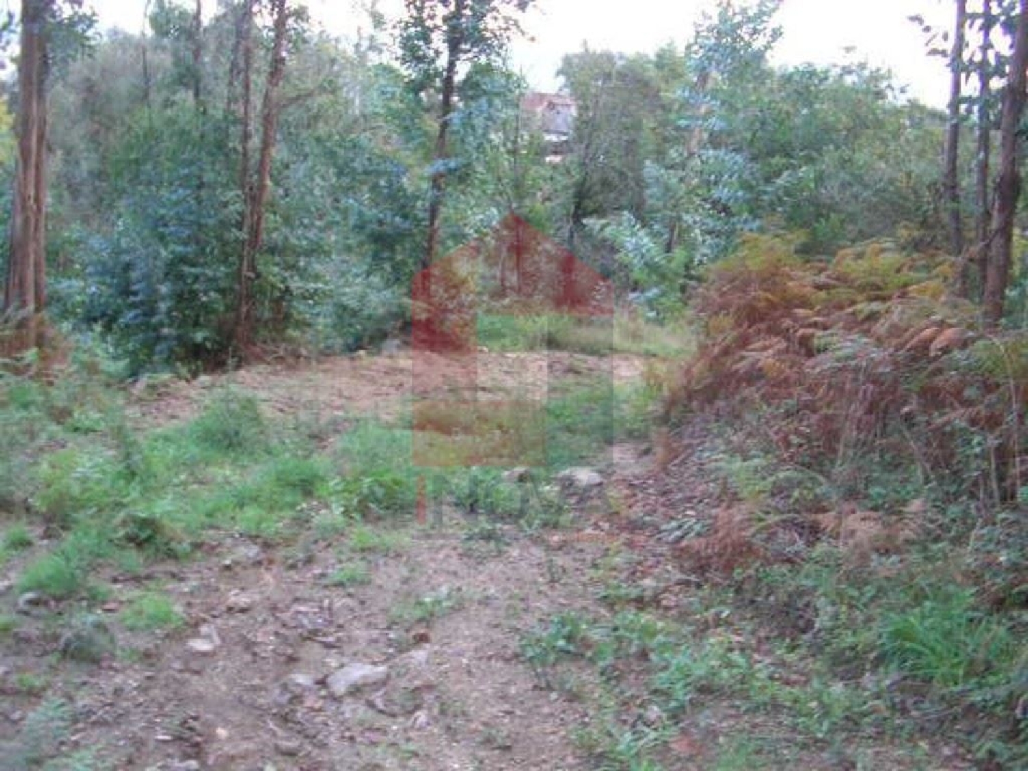  for sale terrain Barbudo Vila Verde 2