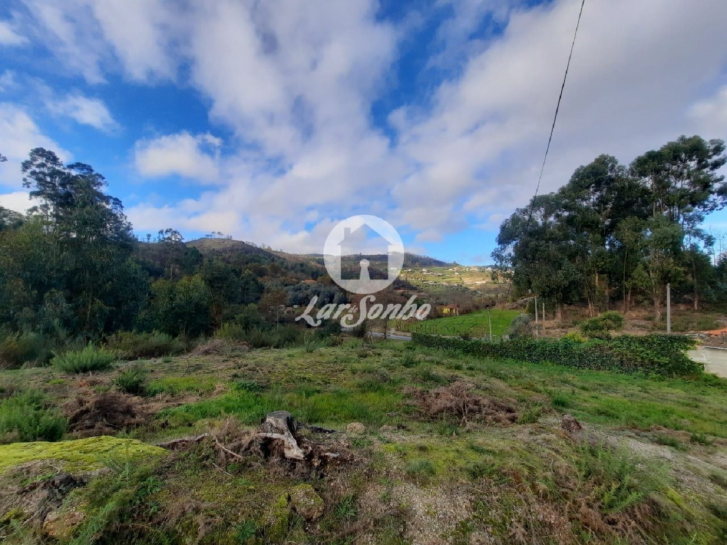  for sale terrain Basto Celorico De Basto 3