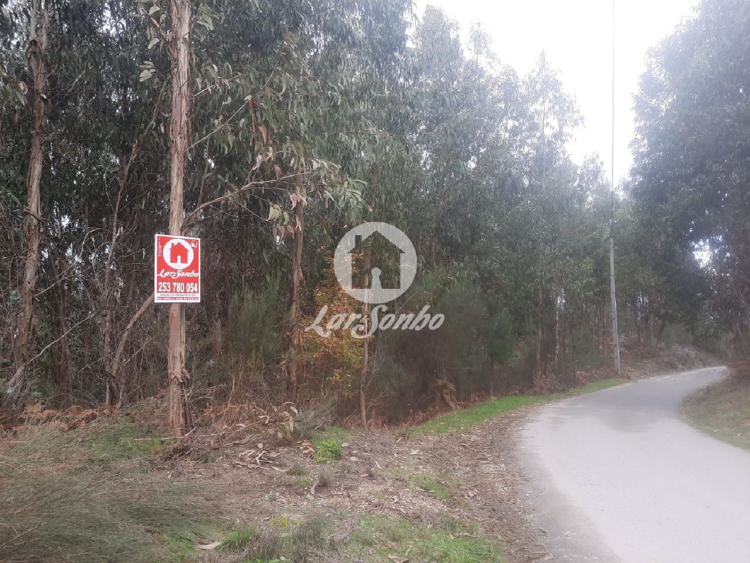  for sale terrain Basto Celorico De Basto 1