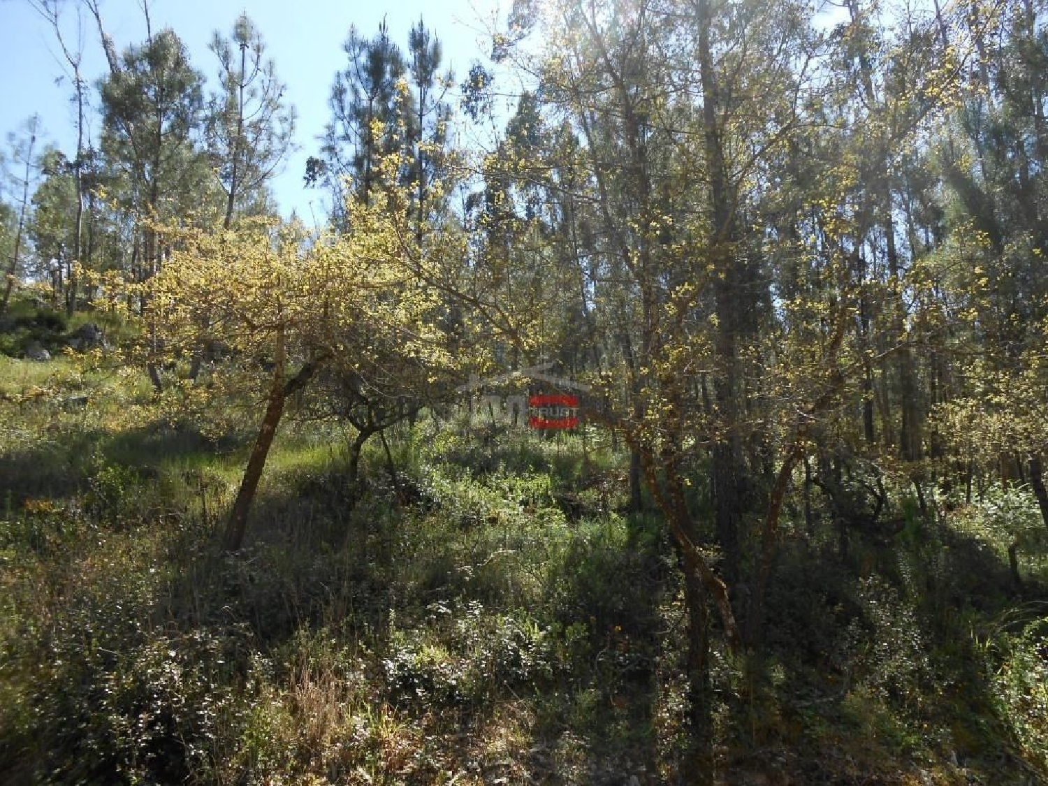  te koop terrein Batalha Batalha 2
