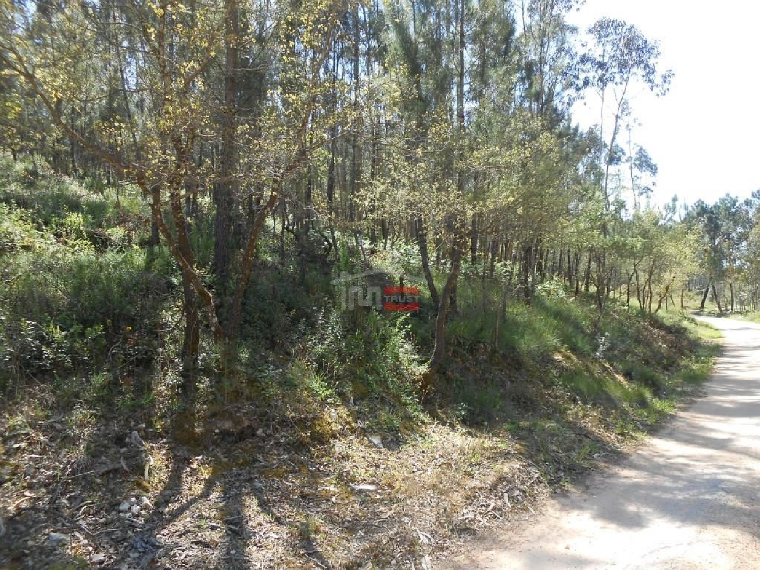  te koop terrein Batalha Batalha 3