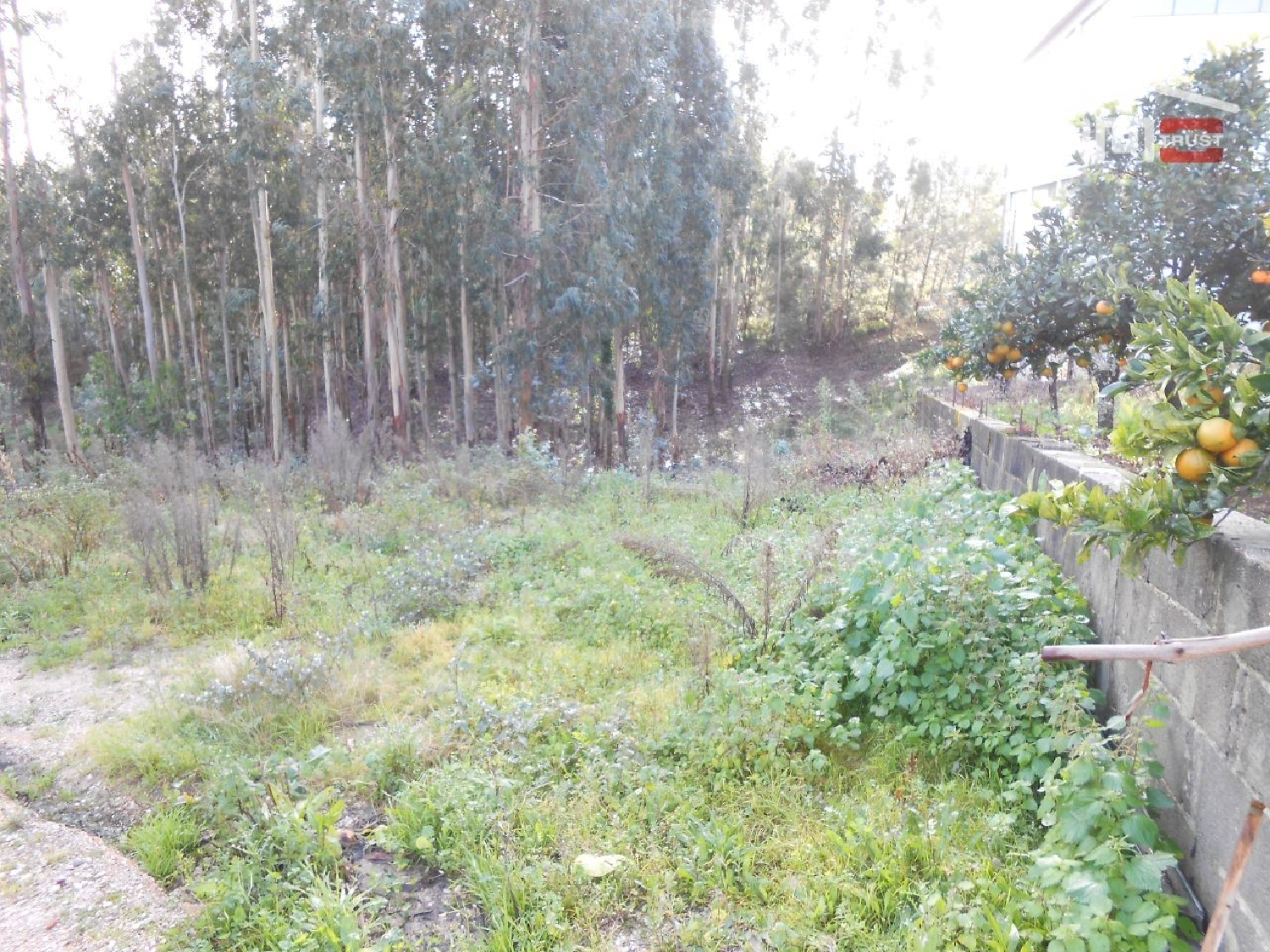  te koop terrein Batalha Batalha 2