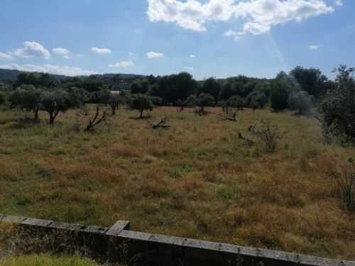 Beirã Marvão terrein foto 324624