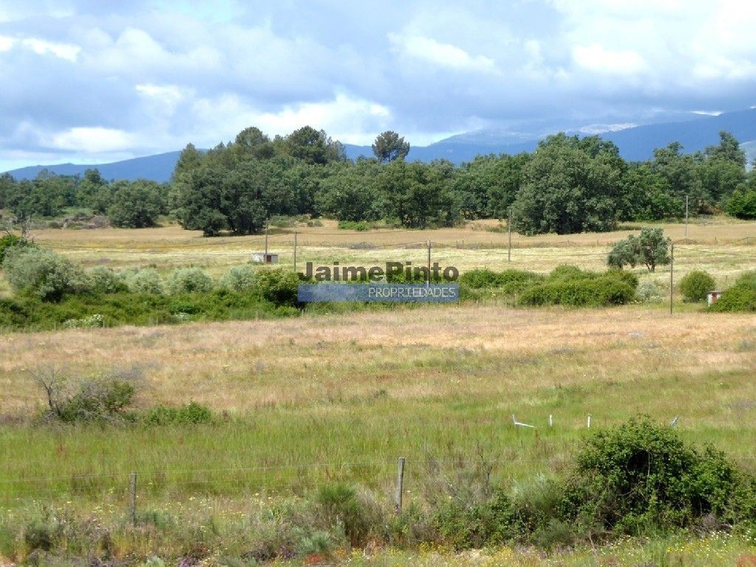  for sale terrain Belmonte Belmonte 1