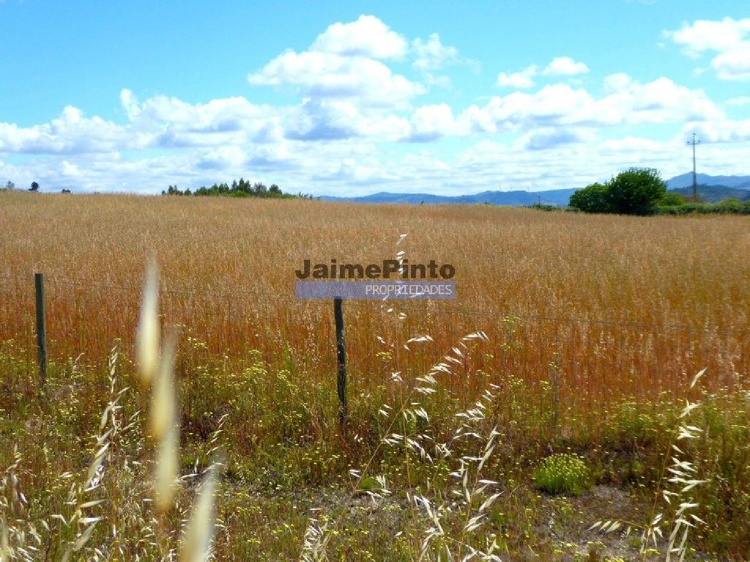 for sale terrain Belmonte Belmonte 2