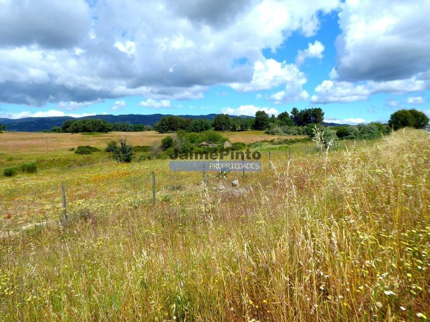 for sale terrain Belmonte Belmonte 3