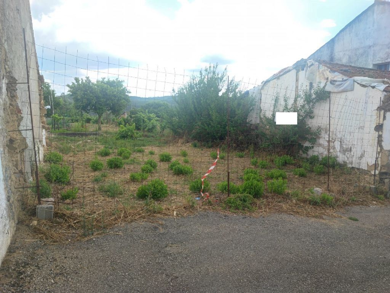  à vendre terrain Belver Gavião 1