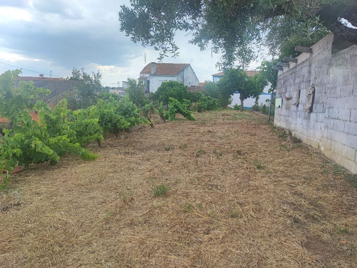 à venda terreno Belver Gavião 3