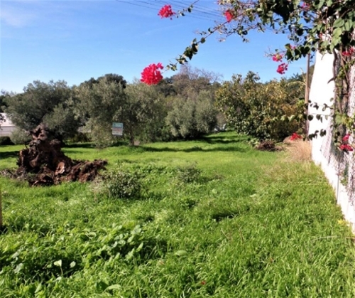 Benafim Loulé terrain foto 319563
