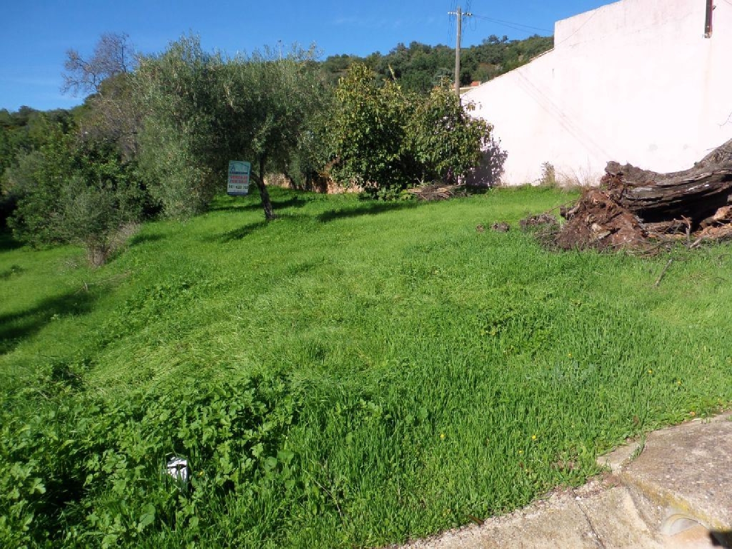 for sale terrain Benafim Loulé 2