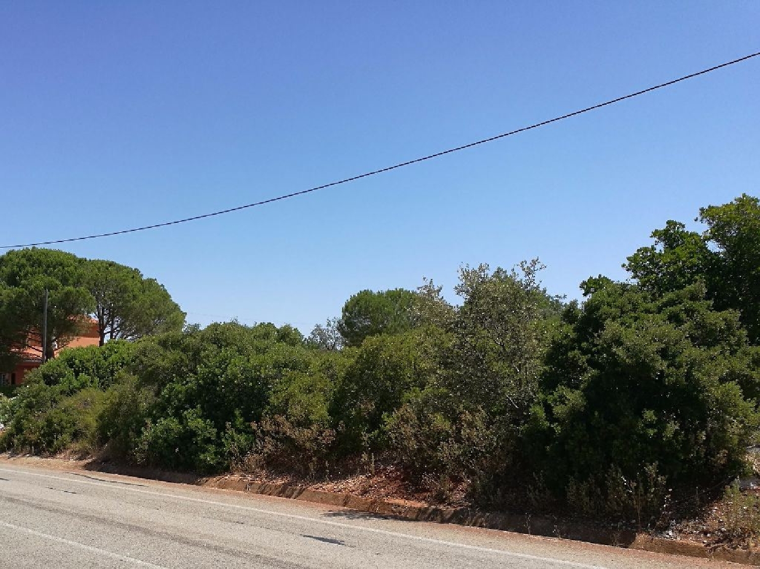  for sale terrain Benafim Loulé 1