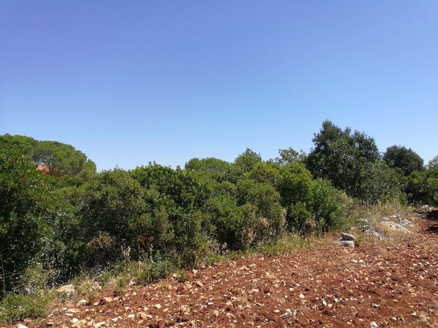 for sale terrain Benafim Loulé 2