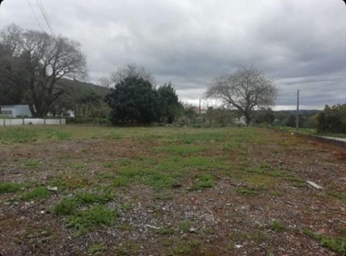 Benedita Alcobaça terrein foto 325128