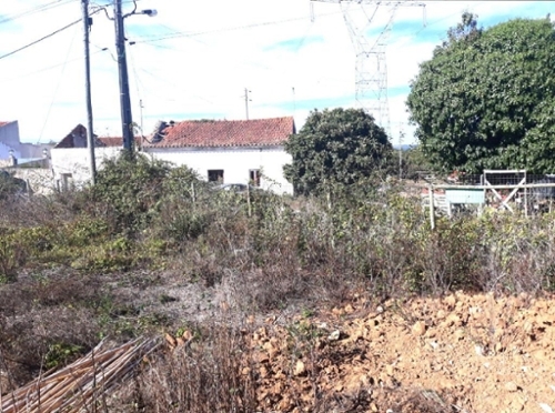 Benedita Alcobaça terrein foto 325138