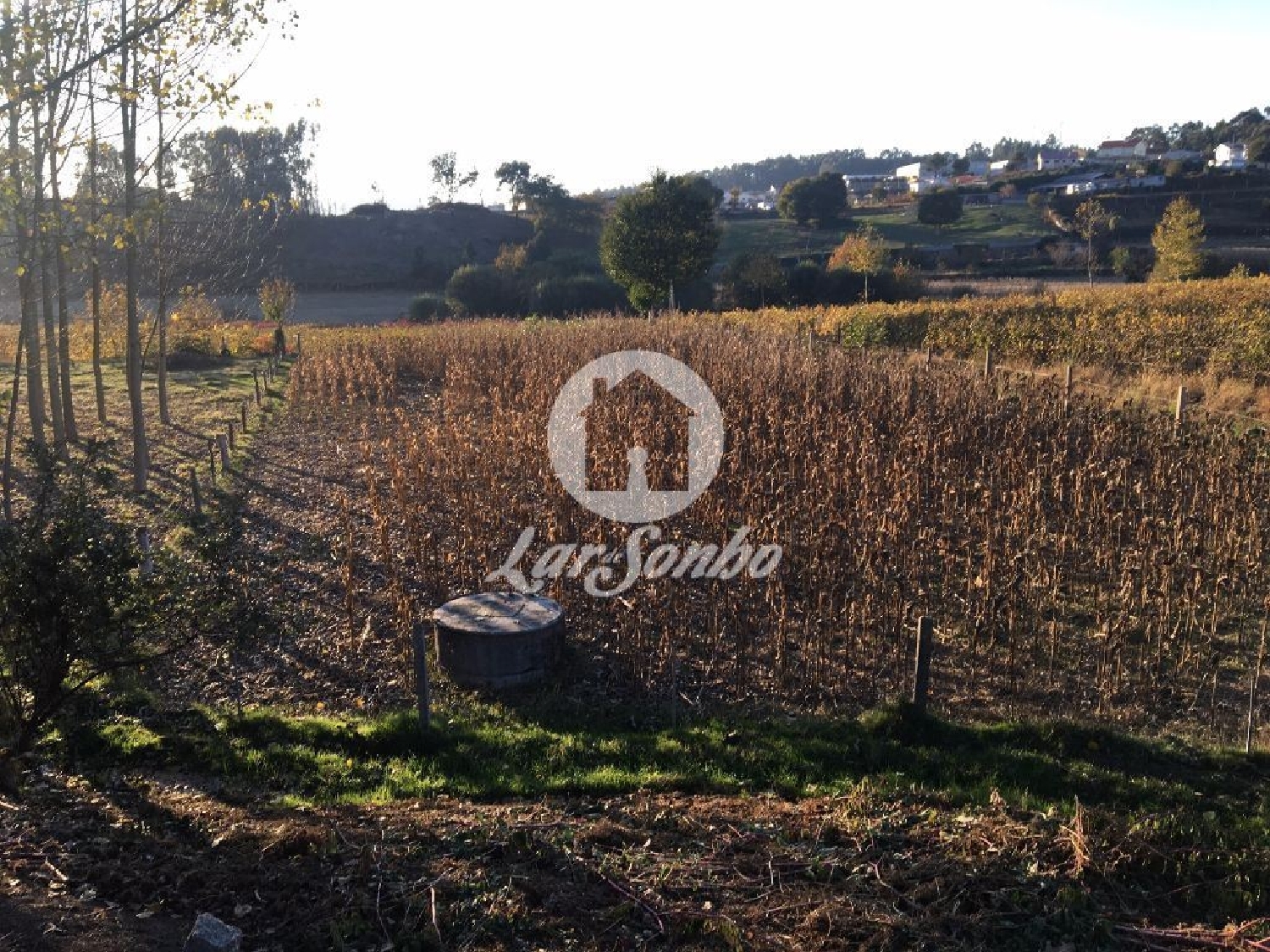  à venda terreno Boim Lousada 1