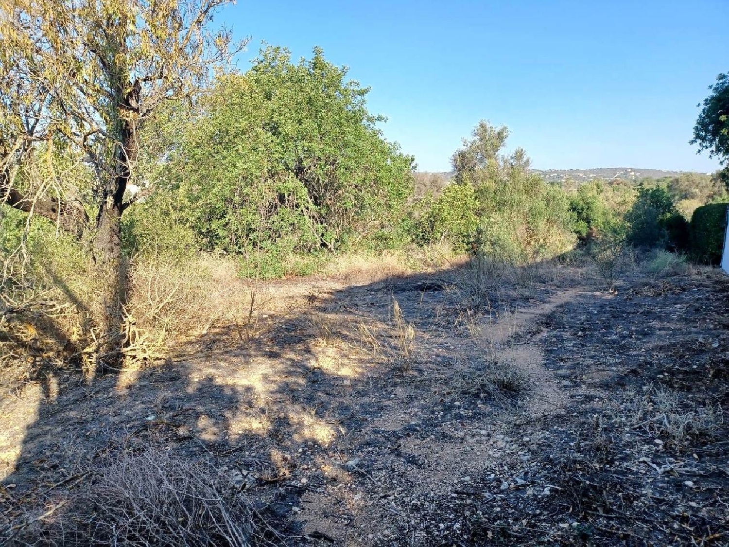  te koop terrein Boliqueime Loulé 5
