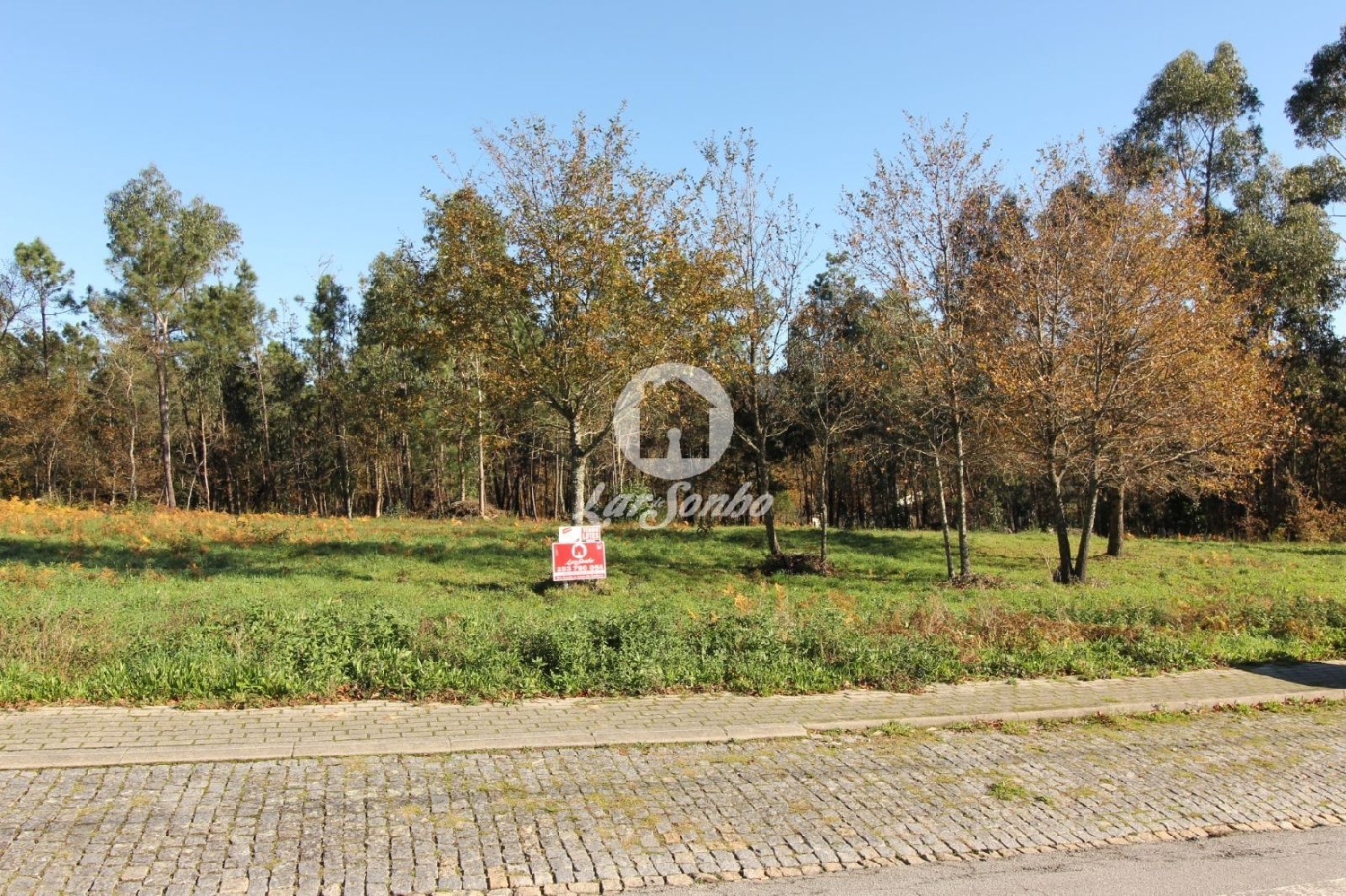  te koop terrein Borba da Montanha Celorico De Basto 2
