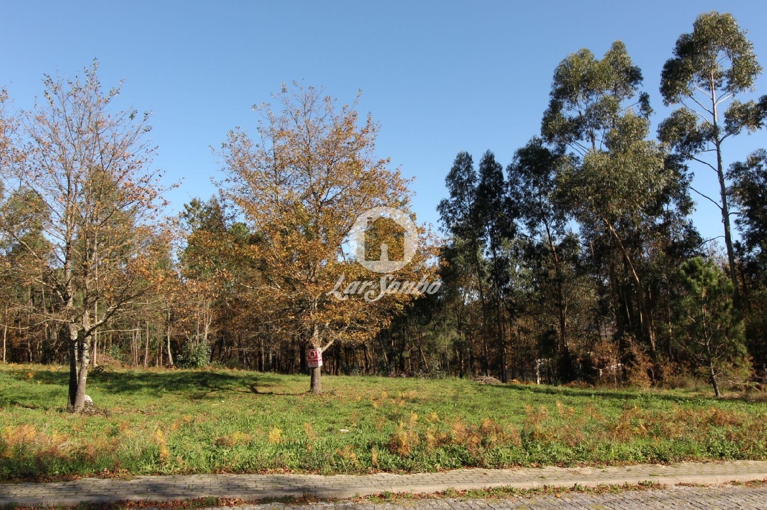  for sale terrain Borba da Montanha Celorico De Basto 3