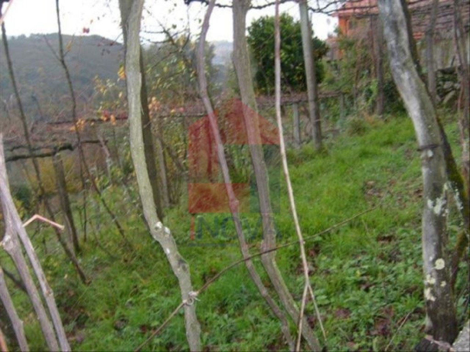 kaufen Grundstück Breia Vila Verde 2