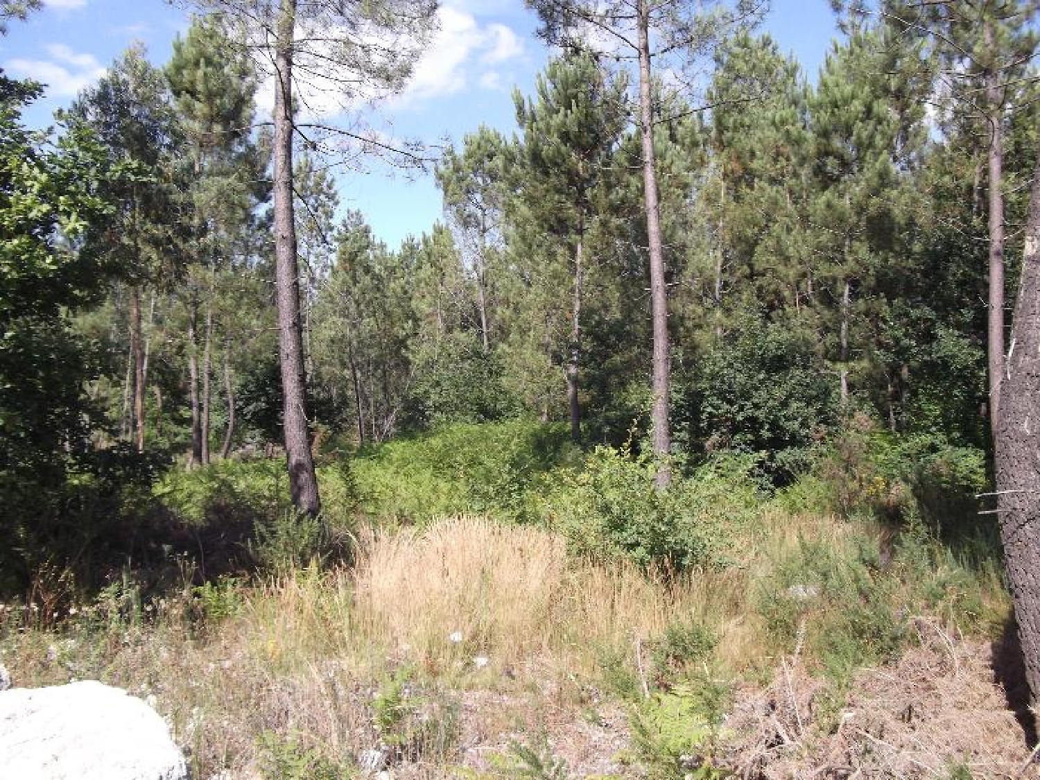 for sale terrain Briteiros São Salvador Guimarães 2