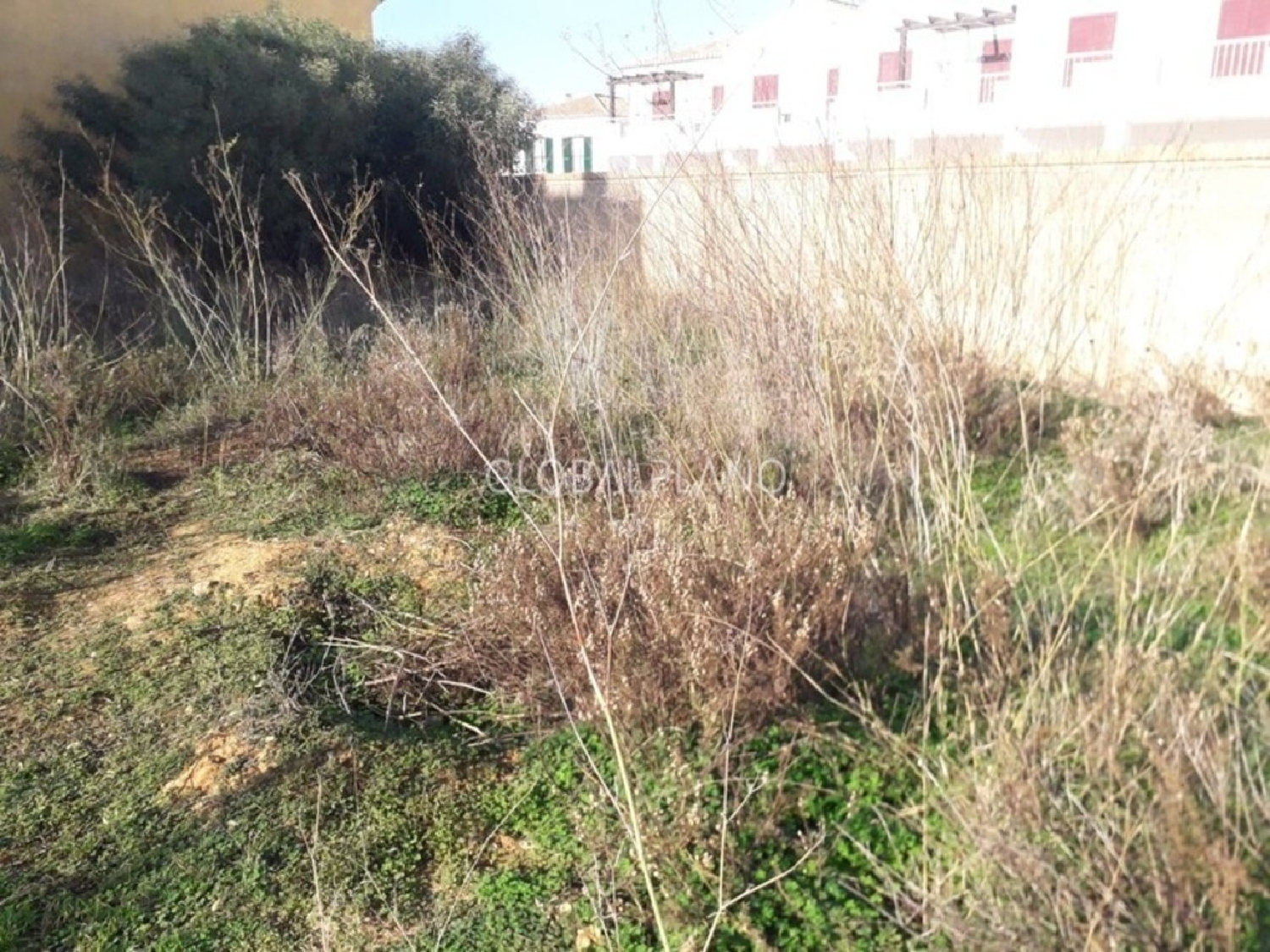  for sale terrain Burgau Vila Do Bispo 5
