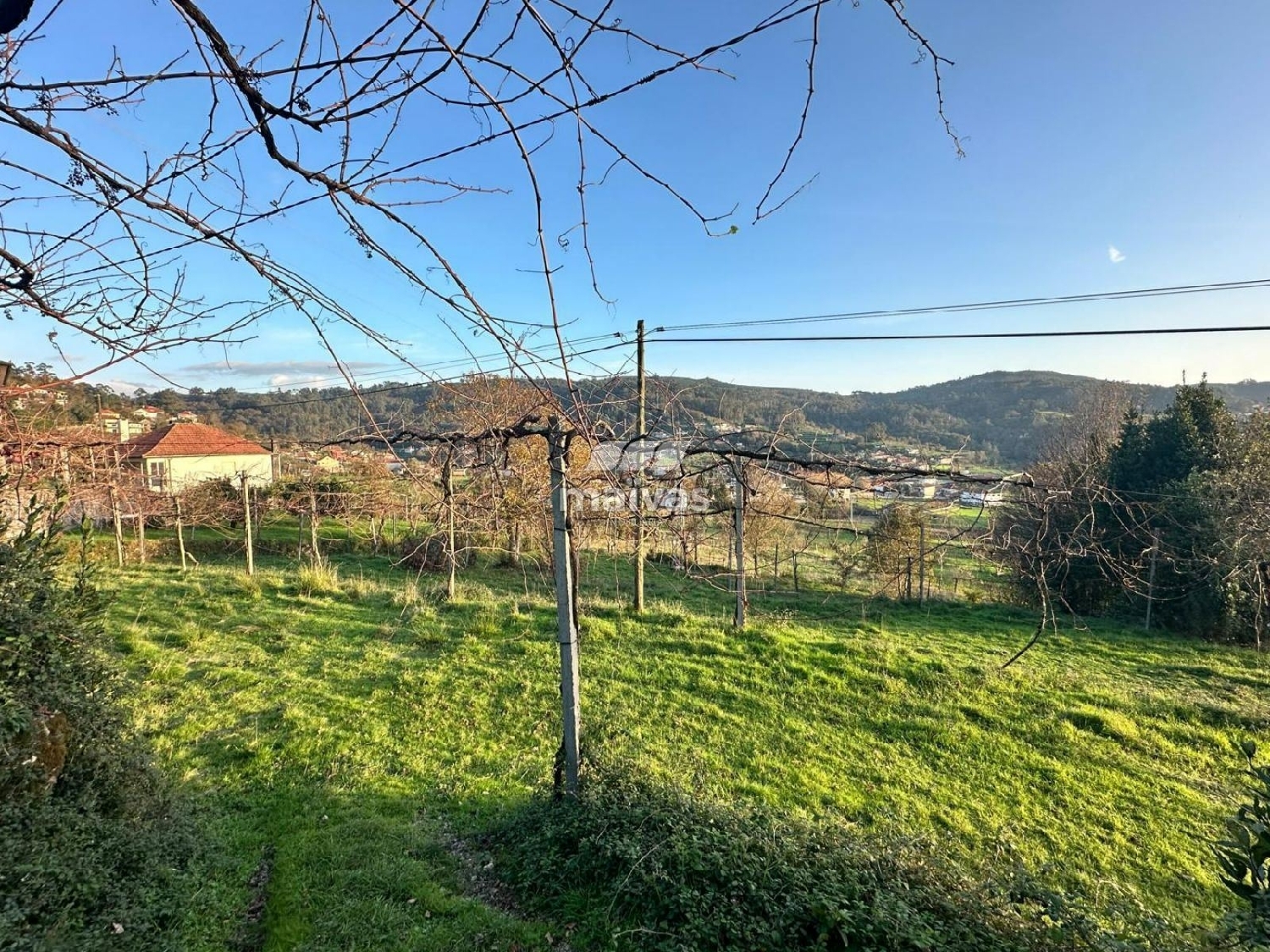  kaufen Grundstück Cabanelas Vila Verde 1