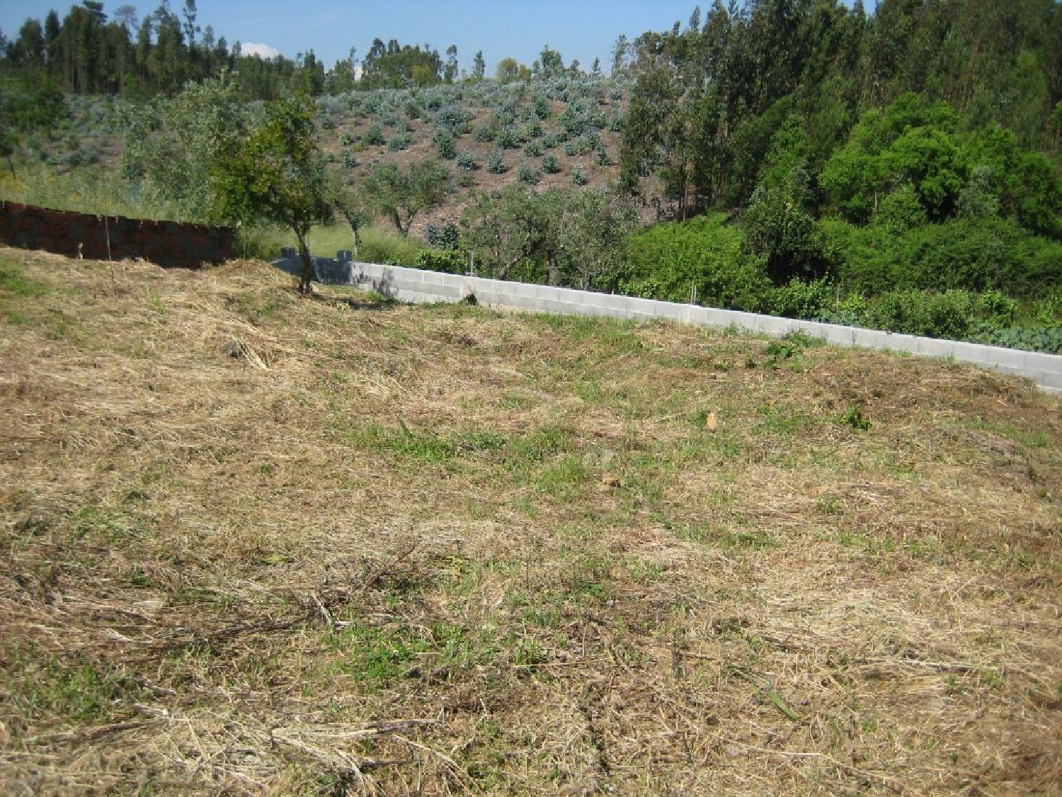 te koop terrein Cabeçudo Sertã 3