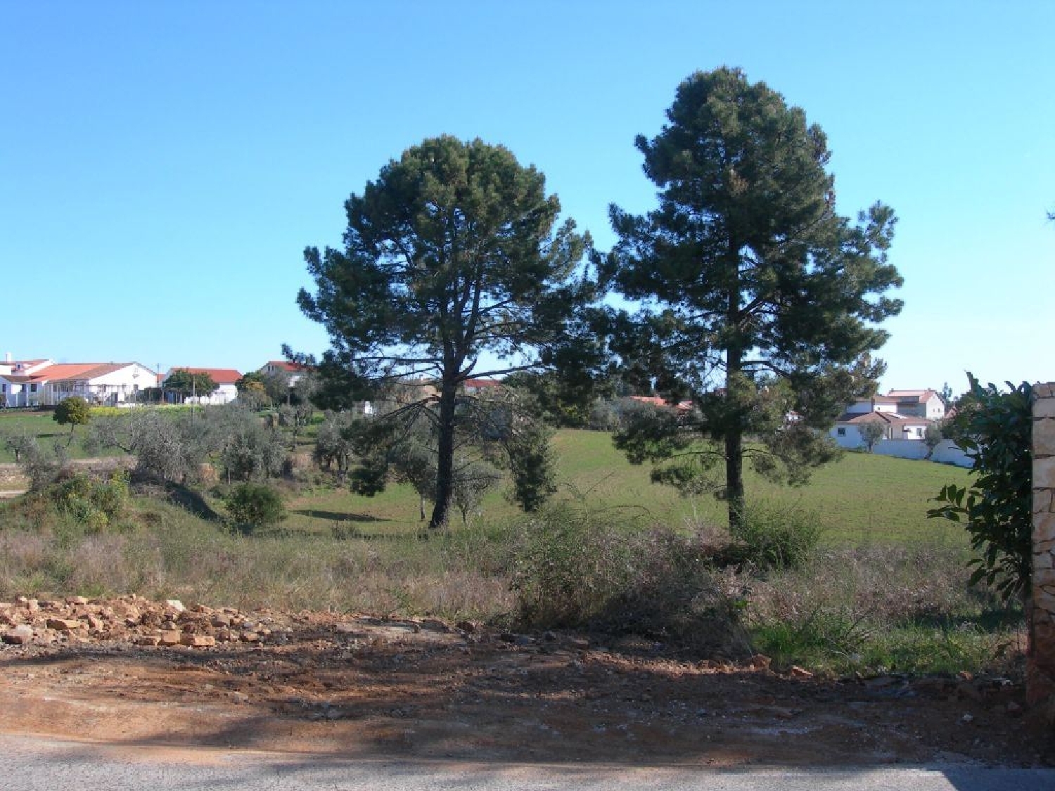 à vendre terrain Cabeçudo Sertã 2